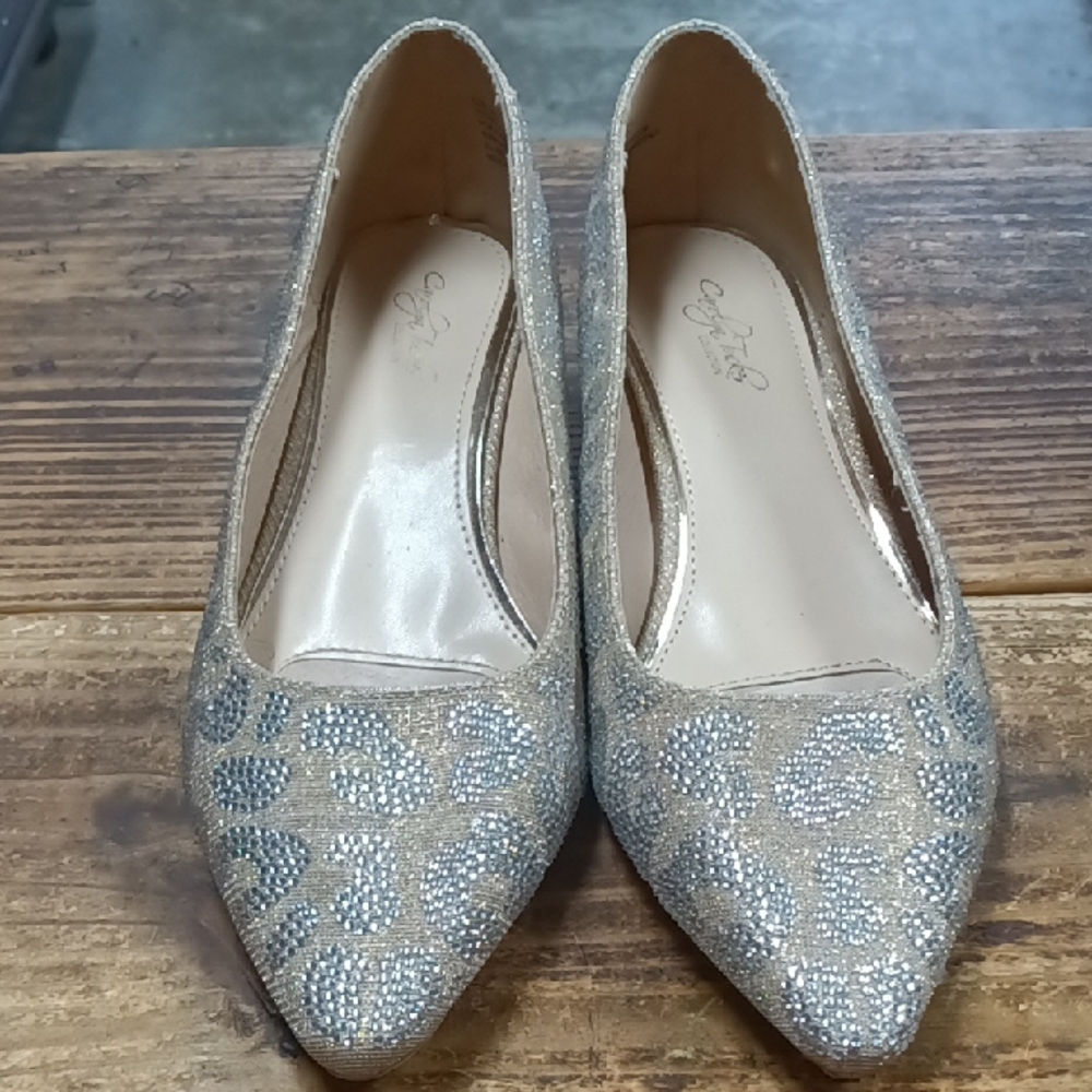 Embellished Pointed Toe Flats in Champagne Glitter